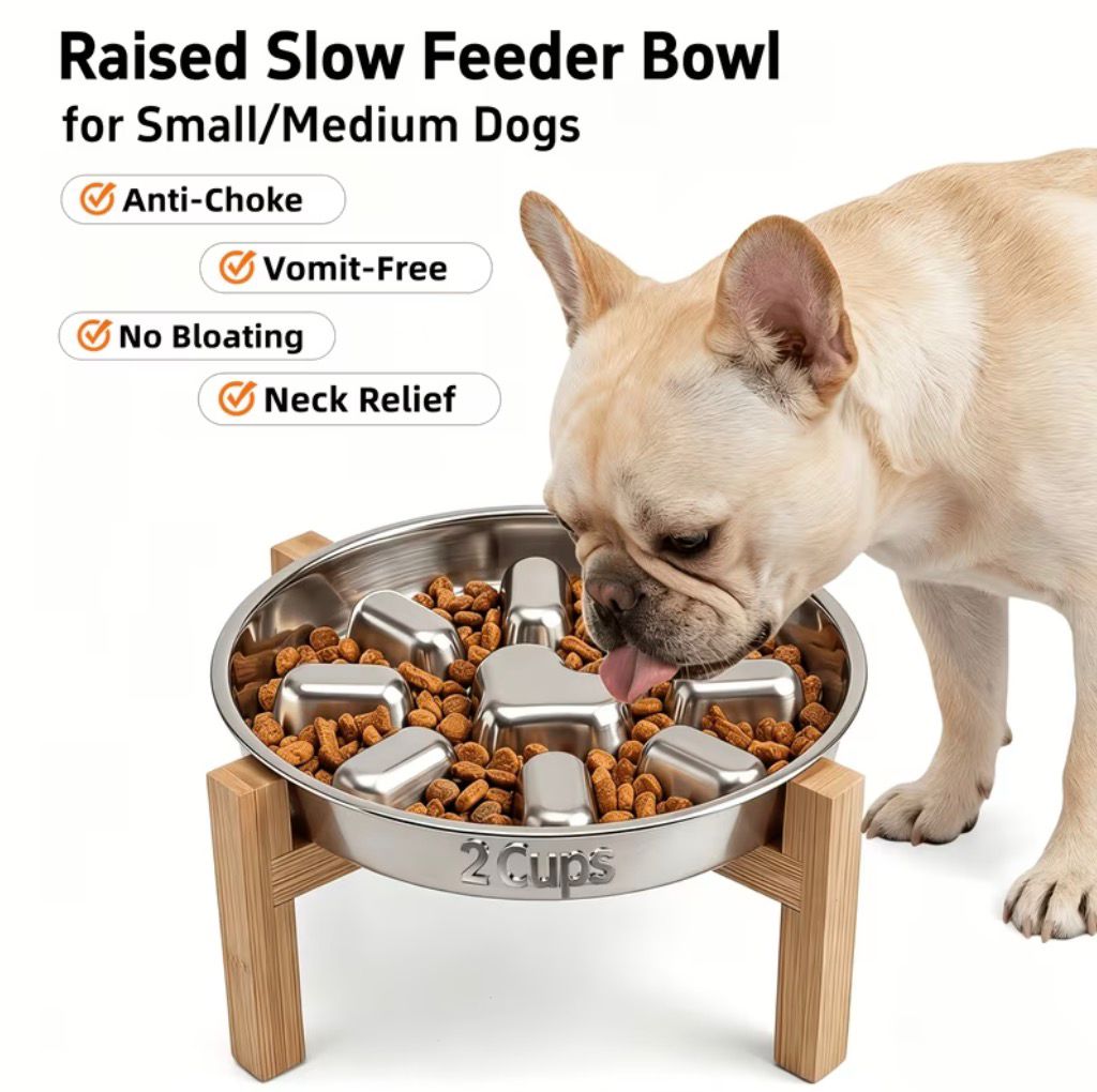 Premium Elevated Stainless Steel Slow Feeder Bowl