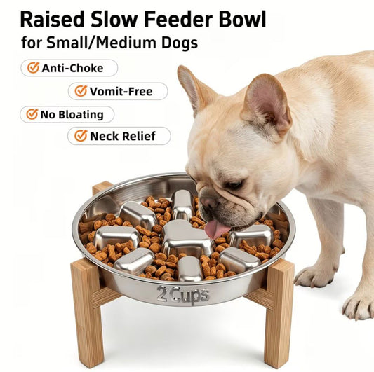 Premium Elevated Stainless Steel Slow Feeder Bowl