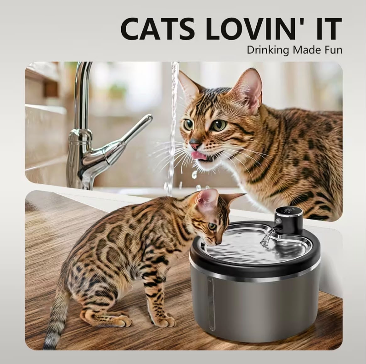 Ultra-Quiet Cordless Pet Water Fountain with sensor